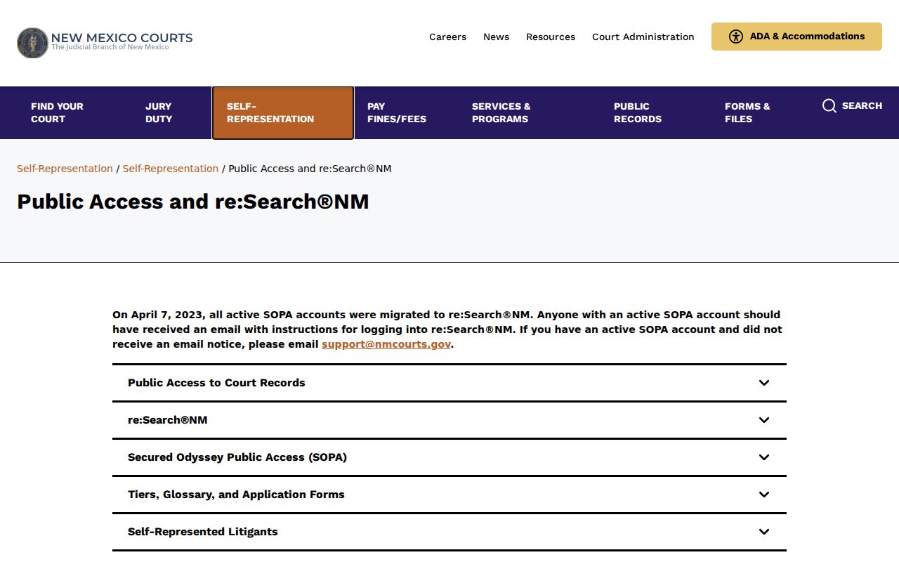Bernalillo County criminal case public access systems