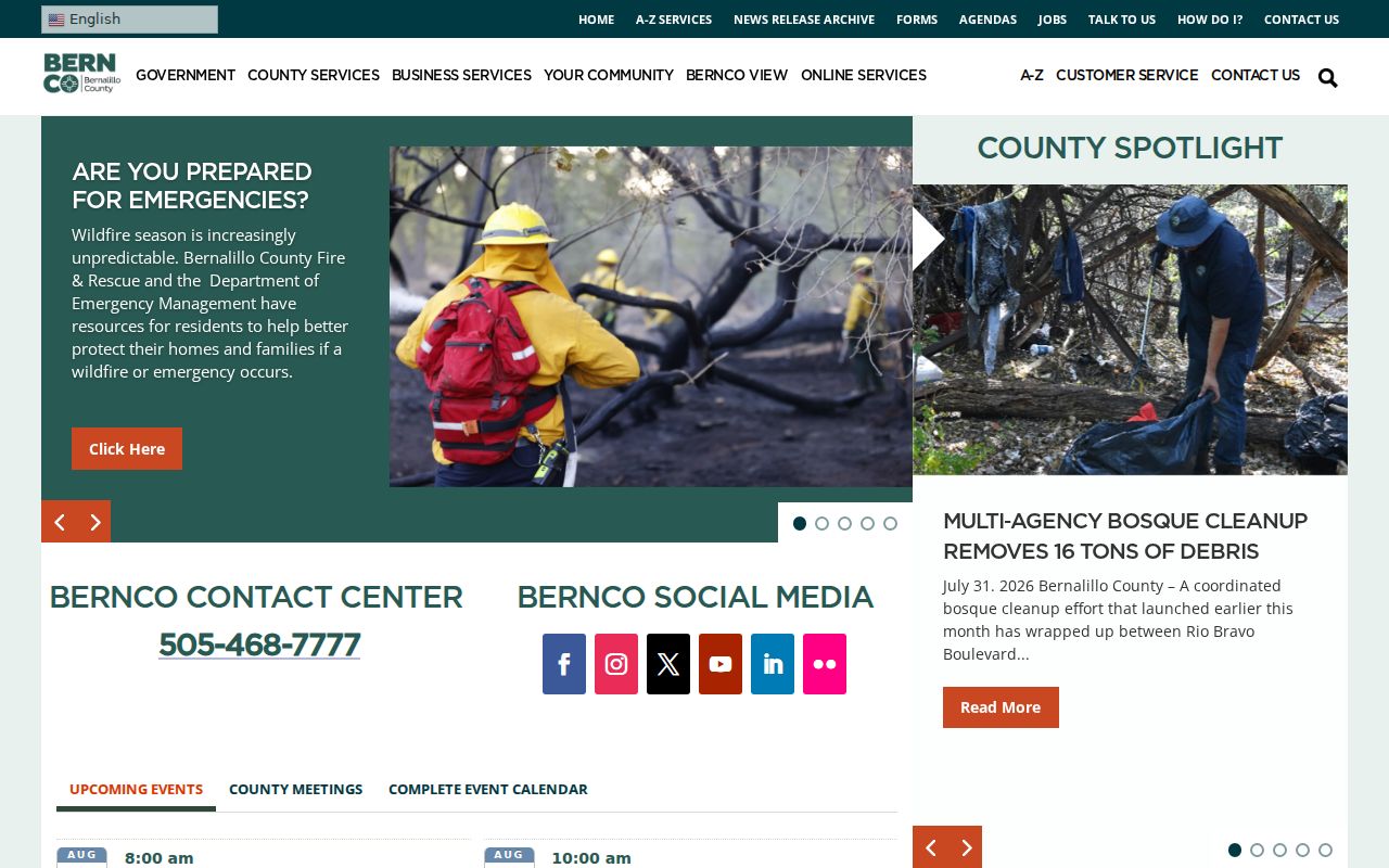 Bernalillo County criminal history government portal