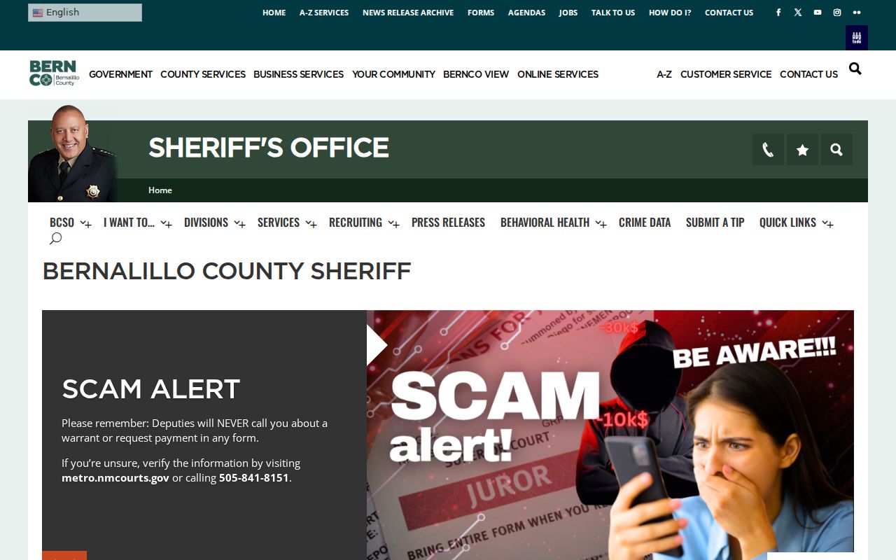 Bernalillo County criminal history sheriff records portal